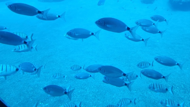 ../images/fotoalbum/lanzarote23/2023-09-14 13.35.03